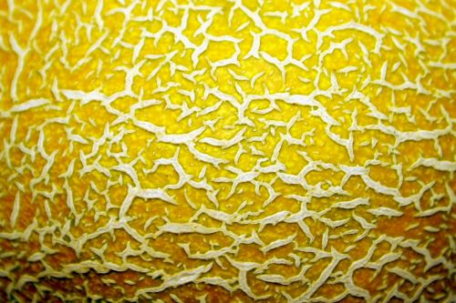 Fotografia de wilsotte - Galeria Fotografica: DIapos - Foto: 