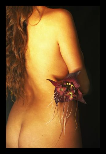 Fotografia de angelicatas - Galeria Fotografica: Desnudos Dos - Foto: Les fleurs du mal