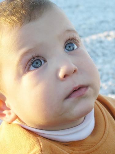 Fotografia de natalia - Galeria Fotografica: macro - Foto: ojitos azules