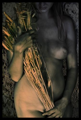 Fotografia de angelicatas - Galeria Fotografica: Desnudos Dos - Foto: The Harvest