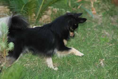 Fotografia de Espartaco - Galeria Fotografica: Mis pruebas - Foto: Chihuhua