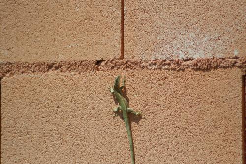 Fotografia de Espartaco - Galeria Fotografica: Mis pruebas - Foto: 