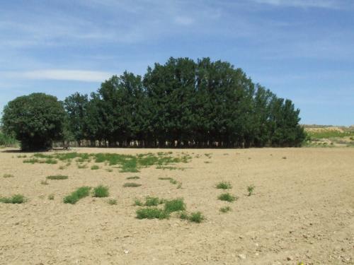 Fotografia de Rico - Galeria Fotografica: Dos - Foto: Brontorestal