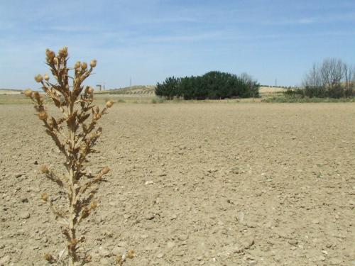 Fotografia de Rico - Galeria Fotografica: Dos - Foto: Slo