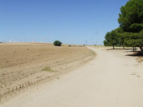 Fotografia de Rico - Galeria Fotografica: Dos - Foto: Caminando se hace el camino