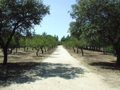 Fotografia de Rico - Galeria Fotografica: Tres - Foto: 