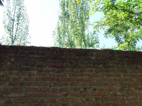 Fotografia de Rico - Galeria Fotografica: Dos - Foto: Barreras