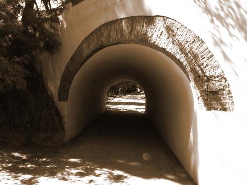 Fotografia de Rico - Galeria Fotografica: Flash! - Foto: Recorrido