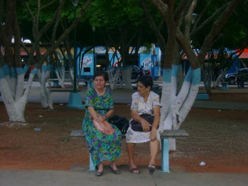 Fotografia de D albano - Galeria Fotografica: Sesin 0.1 - Foto: pltica