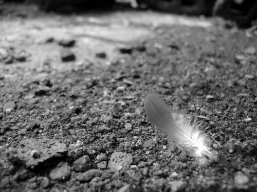 Fotografia de Danilo.C - Galeria Fotografica: B/N - Foto: Grandeza