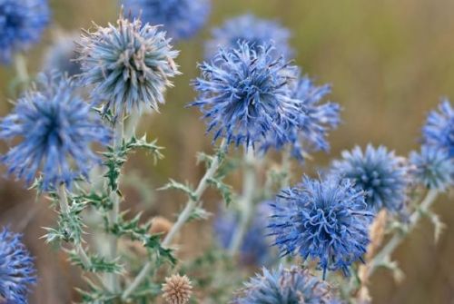 Fotografia de Nichamer - Galeria Fotografica: Paisajes - Foto: Azul