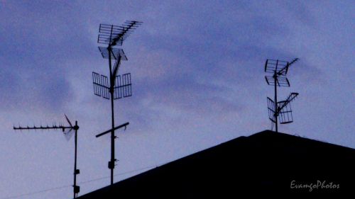 Fotografia de EvamgoPhotos - Galeria Fotografica: Miscelnea - Foto: 