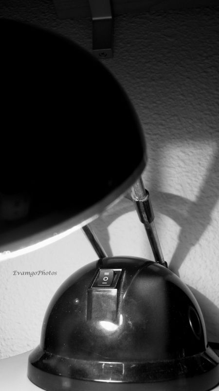 Fotografia de EvamgoPhotos - Galeria Fotografica: Miscelnea - Foto: 