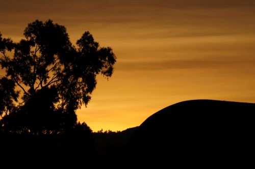 Fotografia de eagle - Galeria Fotografica: AFRICA - Foto: 