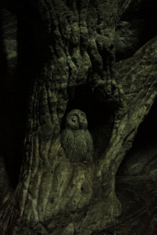 Fotografia de TATHAN NOVOA - Galeria Fotografica: ARQUITECTURA - Foto: 