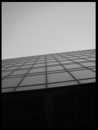 Fotografia de MenosNueve - Galeria Fotografica: Naturaleza Gris - Foto: Arriba..