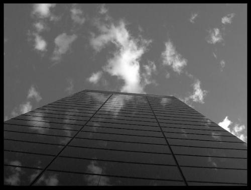 Fotografia de MenosNueve - Galeria Fotografica: Naturaleza Gris - Foto: Sangre de Plutonio