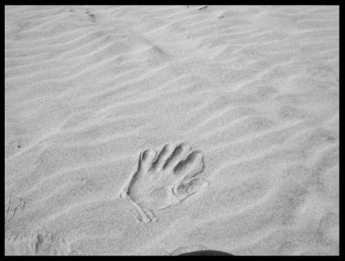 Fotografia de MenosNueve - Galeria Fotografica: Naturaleza Gris - Foto: Huella en el viento..