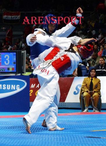 Fotografia de Sin Nombre - Galeria Fotografica: Deportes - Foto: Cto. del Mundo Taekwondo