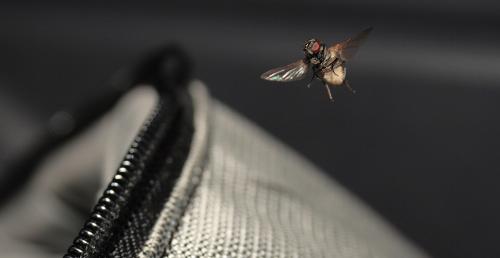 Fotografia de Aritz - Galeria Fotografica: cojoneras... - Foto: 