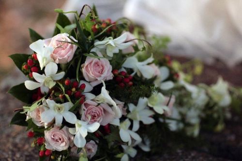 Fotografia de RGB Fotografia - Galeria Fotografica: RGB Fotografia - Foto: 