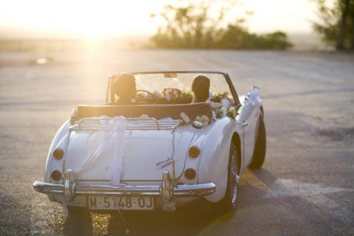 Fotografia de RGB Fotografia - Galeria Fotografica: RGB Fotografia - Foto: 