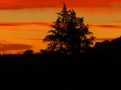 Fotografia de Aram Isa� - Galeria Fotografica: Cielo - Foto: 