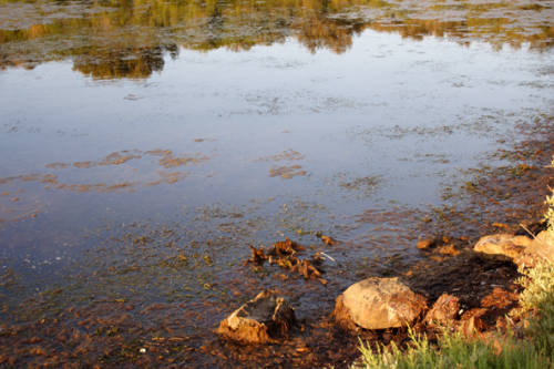 Fotografia de gmez-olives - Galeria Fotografica: final del verano - Foto: reflex