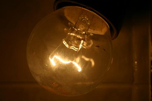 Fotografia de jumami - Galeria Fotografica: principiando con macro - Foto: POBRE BOMBILLA