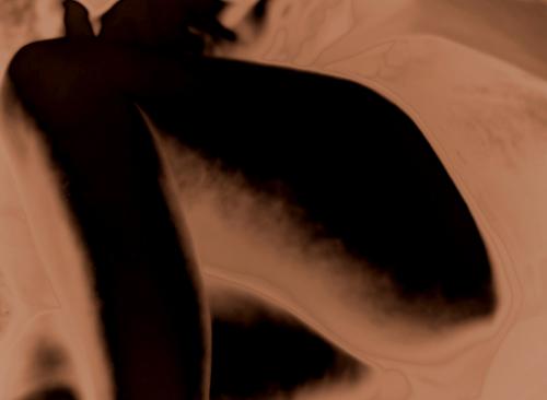 Fotografia de foto zoom - Galeria Fotografica: sue�os - Foto: 