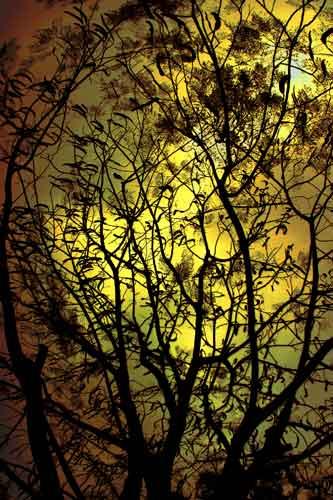 Fotografia de tiempero - Galeria Fotografica: tiempero - Foto: atardecer