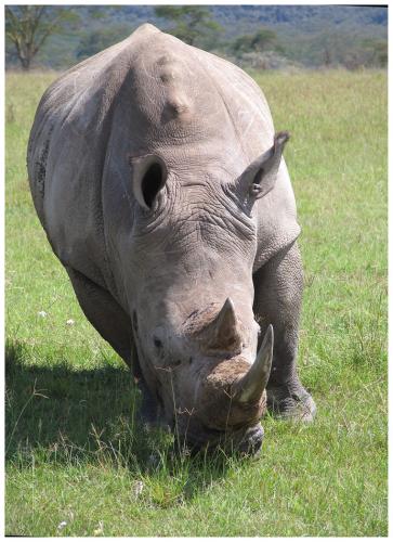 Fotografia de LICINIOCALVO - Galeria Fotografica: Africa 2007 - Foto: 