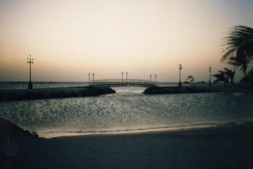 Fotografia de lourdes anadir - Galeria Fotografica: Un Posto al Sole!!!... - Foto: Aruba imbrunire