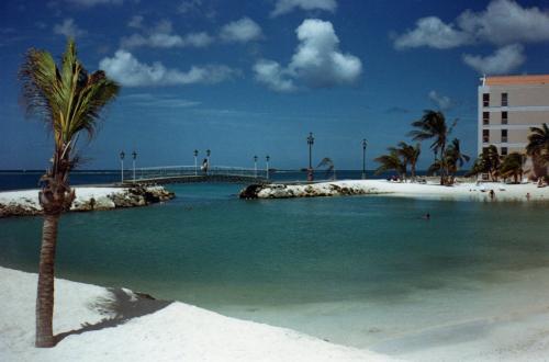 Fotografia de lourdes anadir - Galeria Fotografica: Un Posto al Sole!!!... - Foto: Mezzogiorno di Aruba