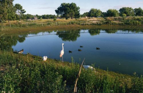 Fotografia de lourdes anadir - Galeria Fotografica: Un Posto al Sole!!!... - Foto: Natura