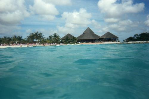 Fotografia de lourdes anadir - Galeria Fotografica: Un Posto al Sole!!!... - Foto: Caribe