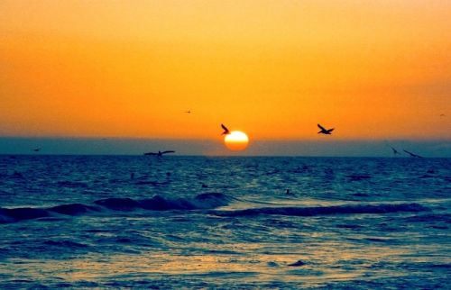 Fotografia de ANGEL MONTERO - Galeria Fotografica: LUZ DE TABASCO - Foto: 