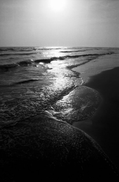 Fotografia de ANGEL MONTERO - Galeria Fotografica: LUZ DE TABASCO - Foto: PICO DE ORO