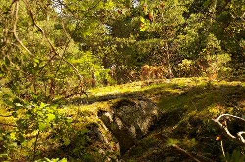 Fotografia de Fotos 360 - Galeria Fotografica: Panormica de Vaxholm Suecia - Foto: 