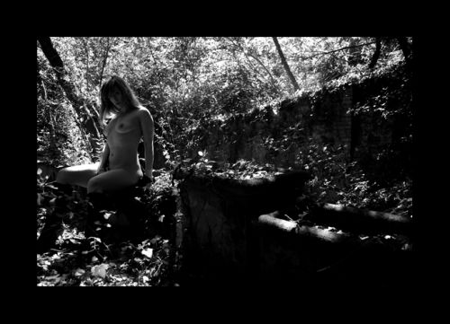 Fotografia de yose - Galeria Fotografica: Puestas - Foto: 