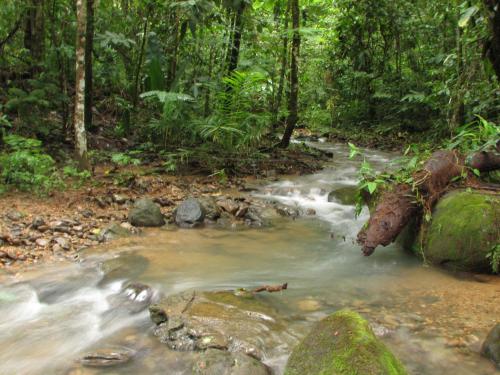 Fotografia de Larga - Galeria Fotografica: Primognitas - Foto: Arroyo
