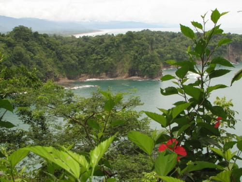 Fotografia de Larga - Galeria Fotografica: Primog�nitas - Foto: Punta Serrucho