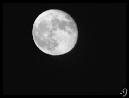 Fotografia de MenosNueve - Galeria Fotografica: Retratos de Vida o Muerte - Foto: [Luna]