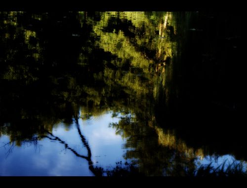 Fotografia de La mirada de Gema - Galeria Fotografica: FREEDOM - Foto: Reflejos