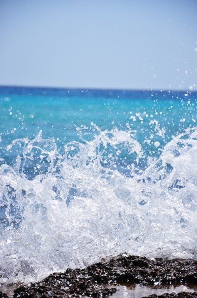 Fotografia de Caramelo Studio - Galeria Fotografica: Naturaleza - Foto: 