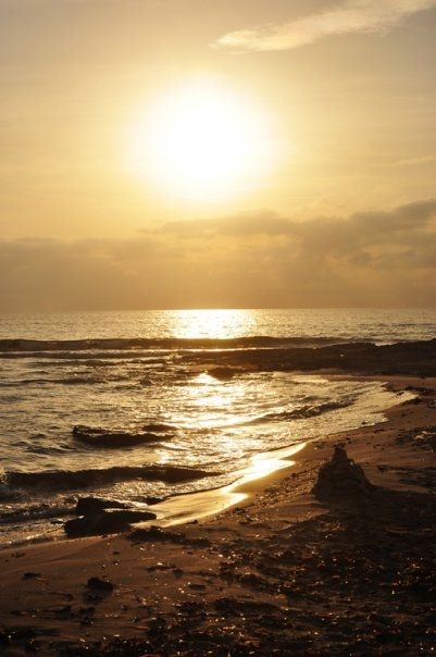 Fotografia de Caramelo Studio - Galeria Fotografica: Naturaleza - Foto: 