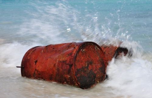 Fotografia de Caramelo Studio - Galeria Fotografica: Naturaleza - Foto: 