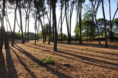 Fotografia de Caramelo Studio - Galeria Fotografica: Naturaleza - Foto: 