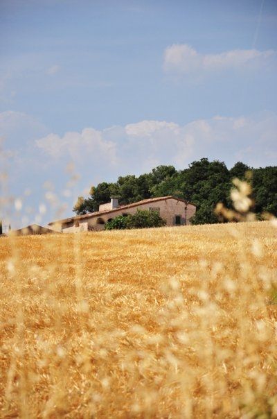 Fotografia de Caramelo Studio - Galeria Fotografica: Naturaleza - Foto: 