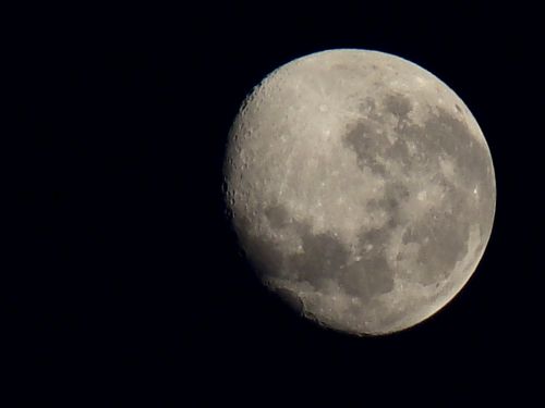 Fotografia de Ricardo Jara - Galeria Fotografica: Rapa Nui - Foto: 